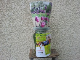 Contrats vases – tulipes contre le cancer