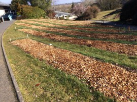 Plantation Lycée de Rignac