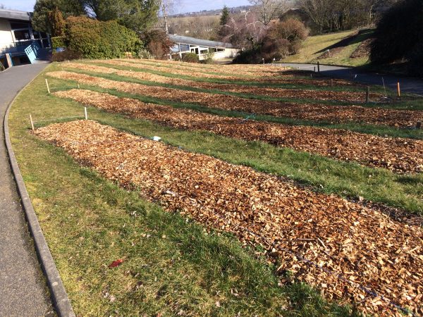 Plantation Lycée de Rignac